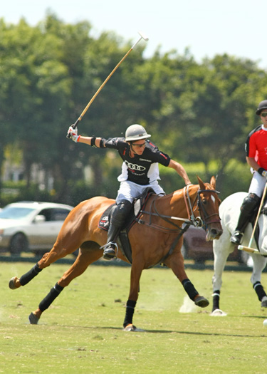 Photos-Audi vs. Alegria-Gold Cup polo top tournament usa alex pacheco