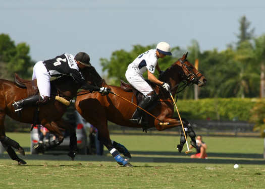 Polo tournament polo usa polo top polo match mt brilliant zacaravs