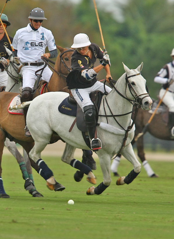 polomagazinepoloteamspolotournament2014 1