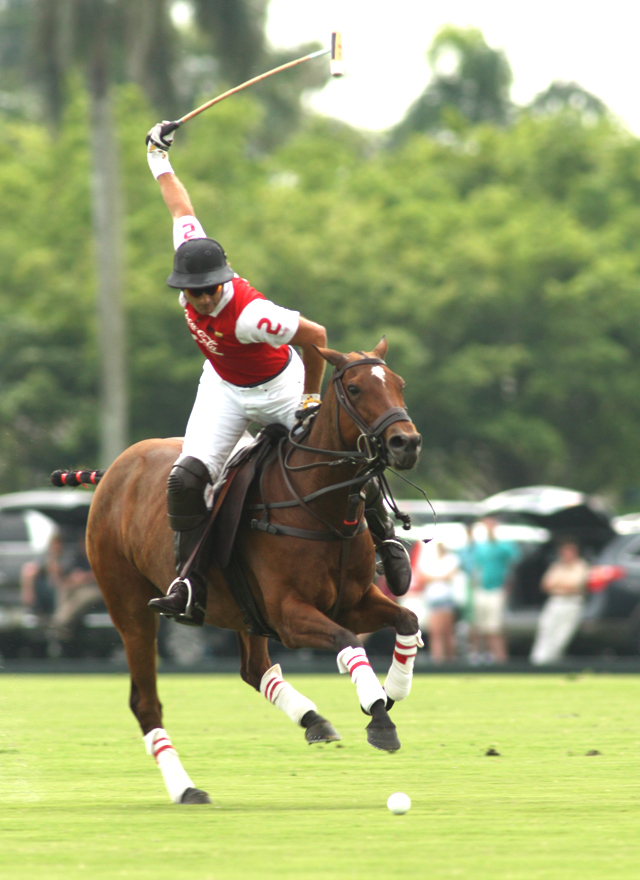 Photos-Lechuza Caracas 14, Coca-Cola 11