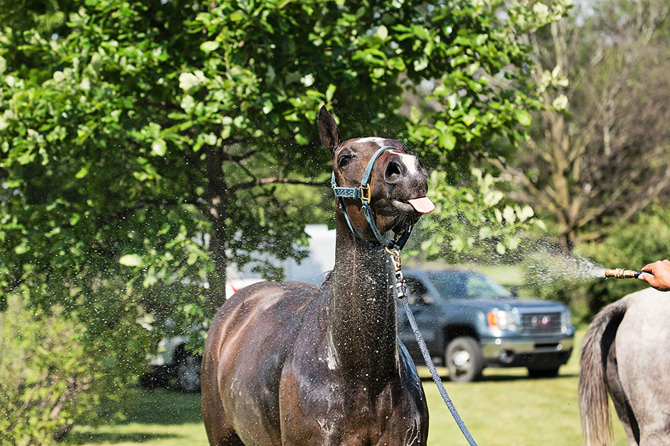 OBPC June 11-6 web