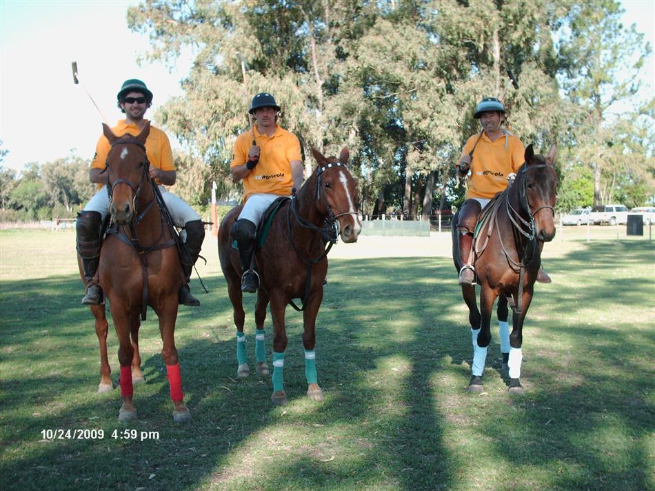 POHOYU HARAS WILL BE BECAUSE WE ARE AS BREEDERS