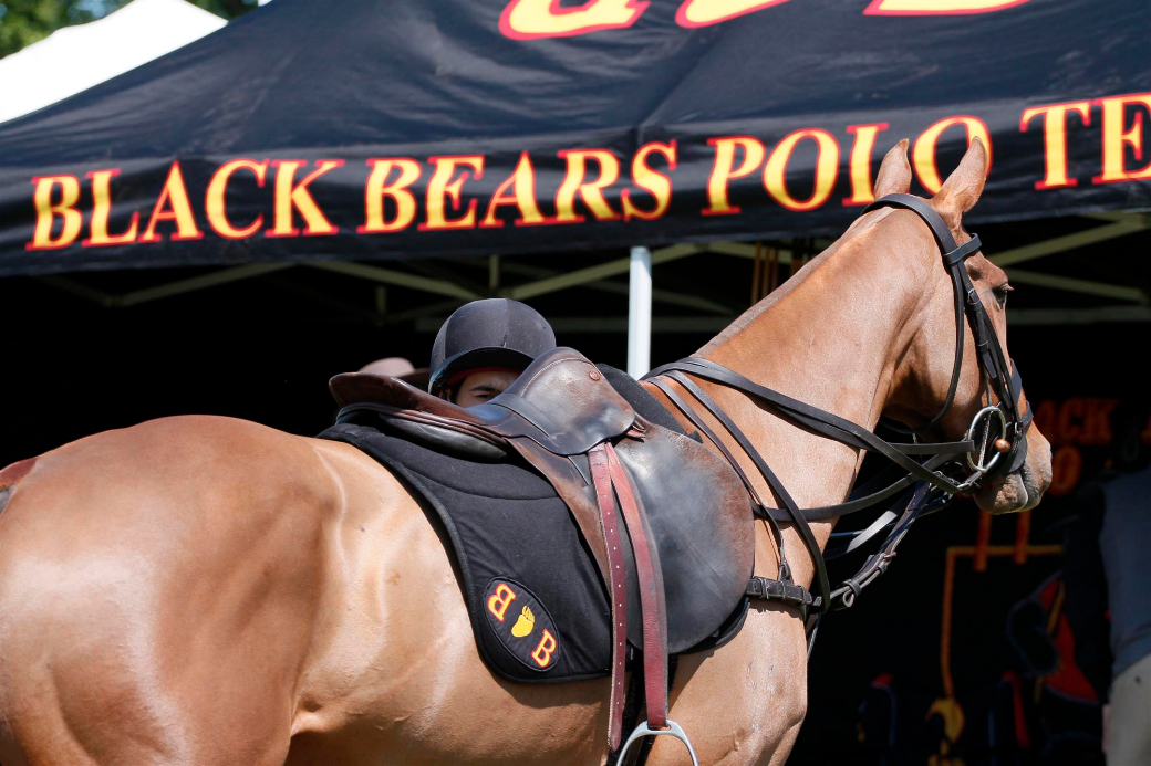black bears polo team queens cup polo tournament polo magazine polo photos celine genonceau 2013