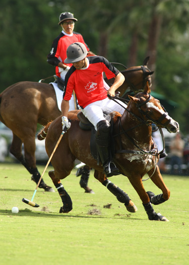 Piaget vs Alegria